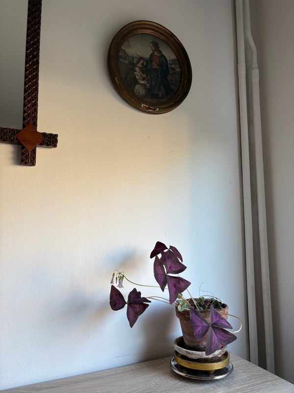 Room Queensbridge Road in Greater London