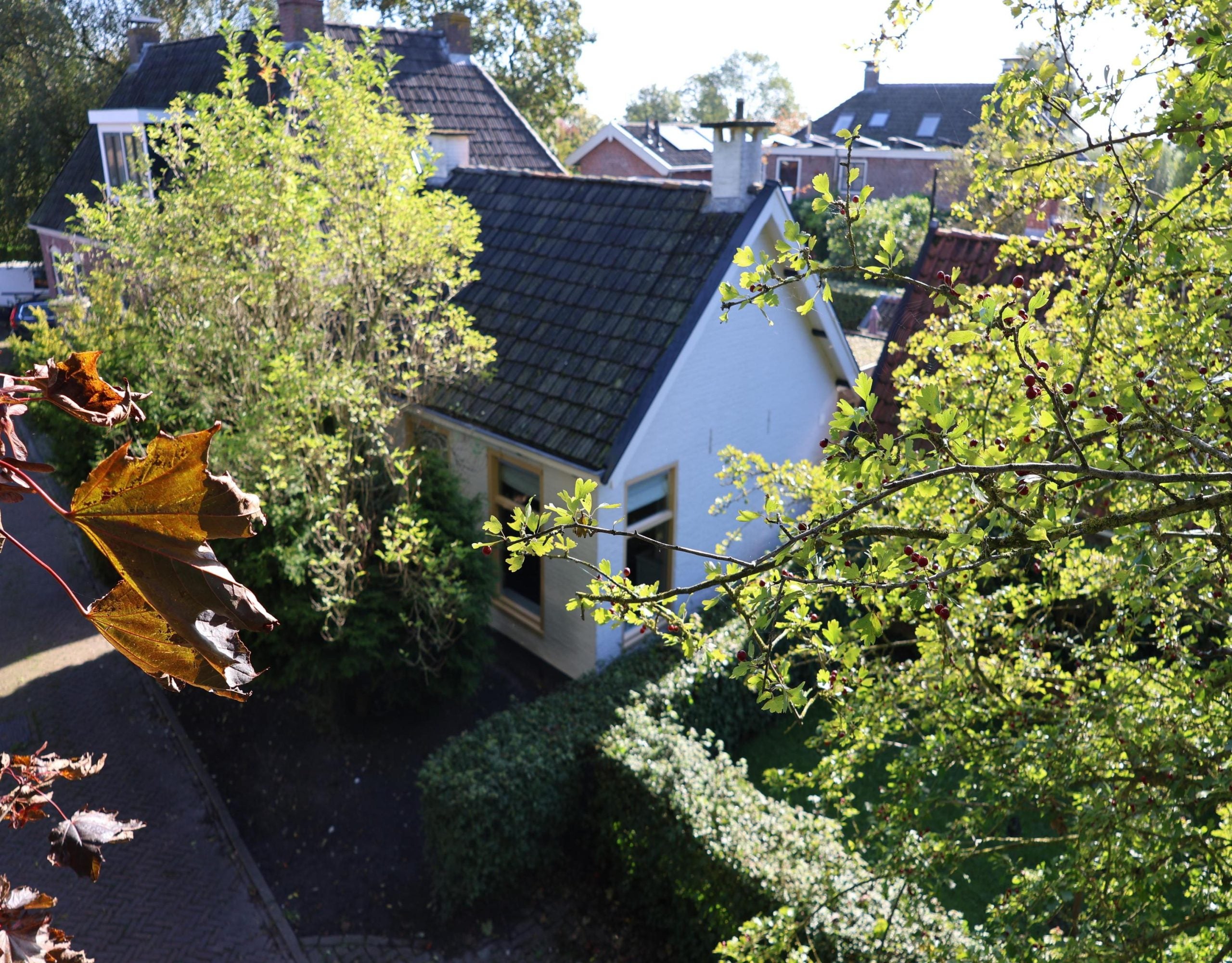 Huis Havenpaed 9 in Sibrandabuorren