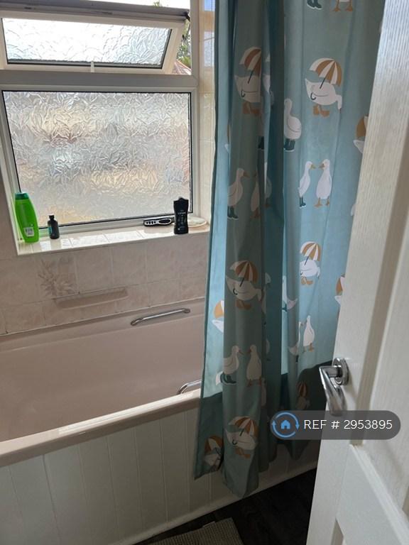 Room Draycott Avenue in Taunton