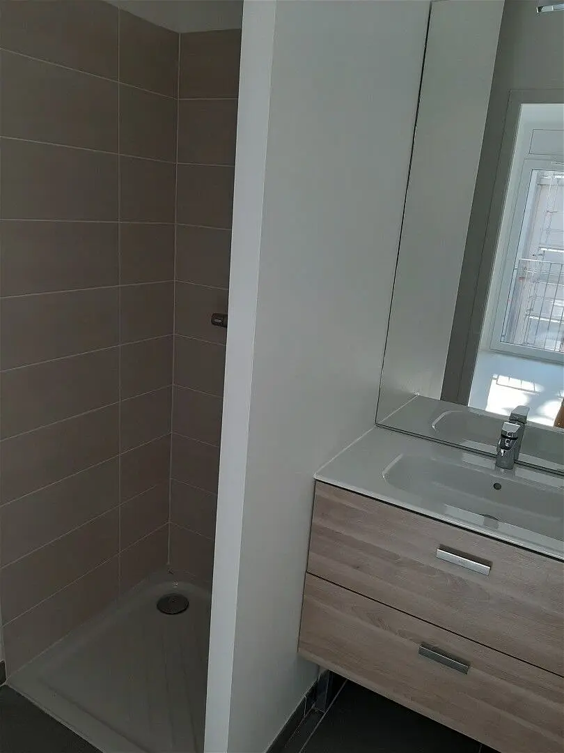 Appartement Rue Léon Blum à Villeurbanne