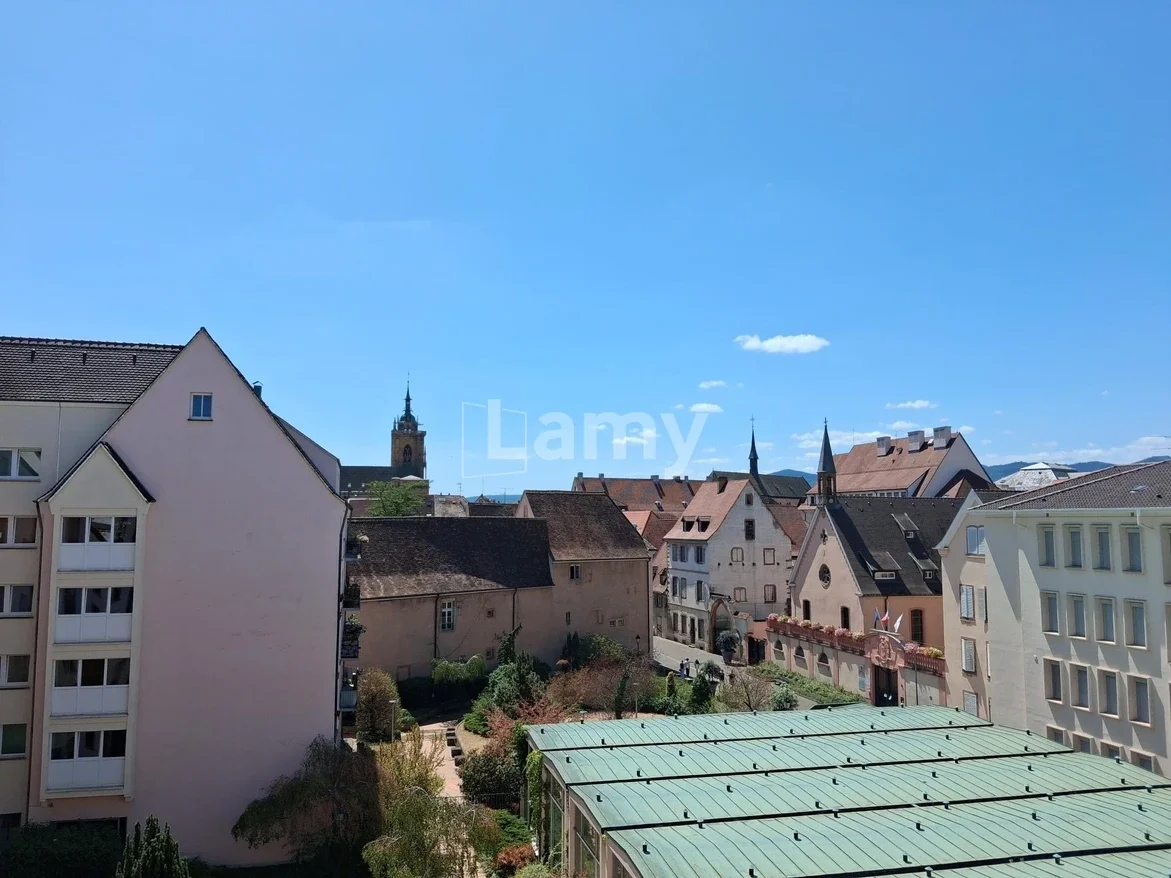 Flat Rue du Nord in Colmar