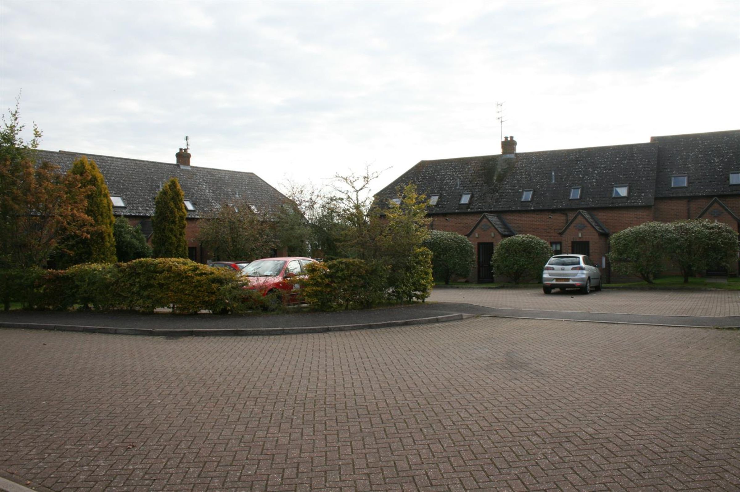 Flat Poplars Close in Stone