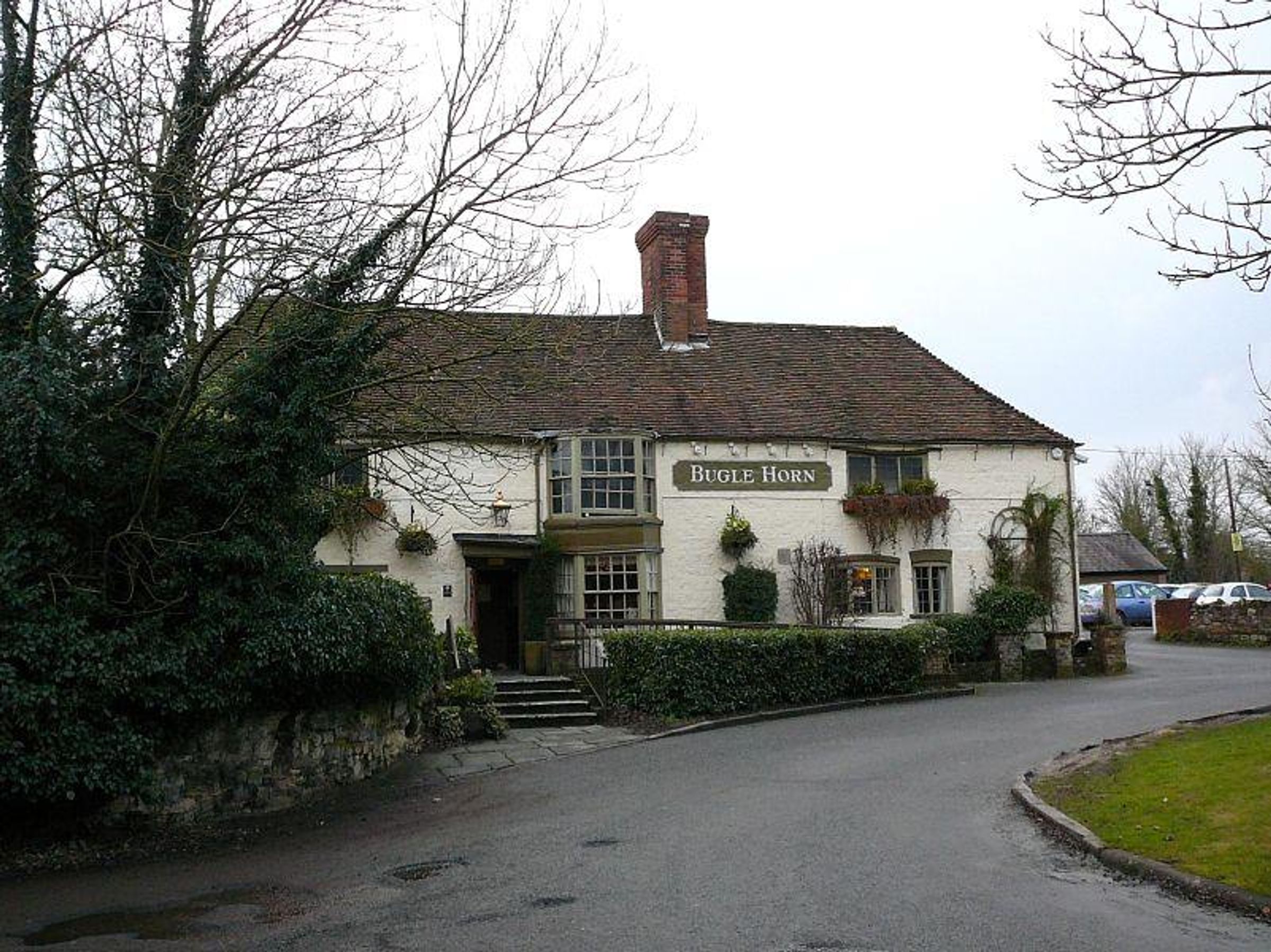 Flat Poplars Close in Stone