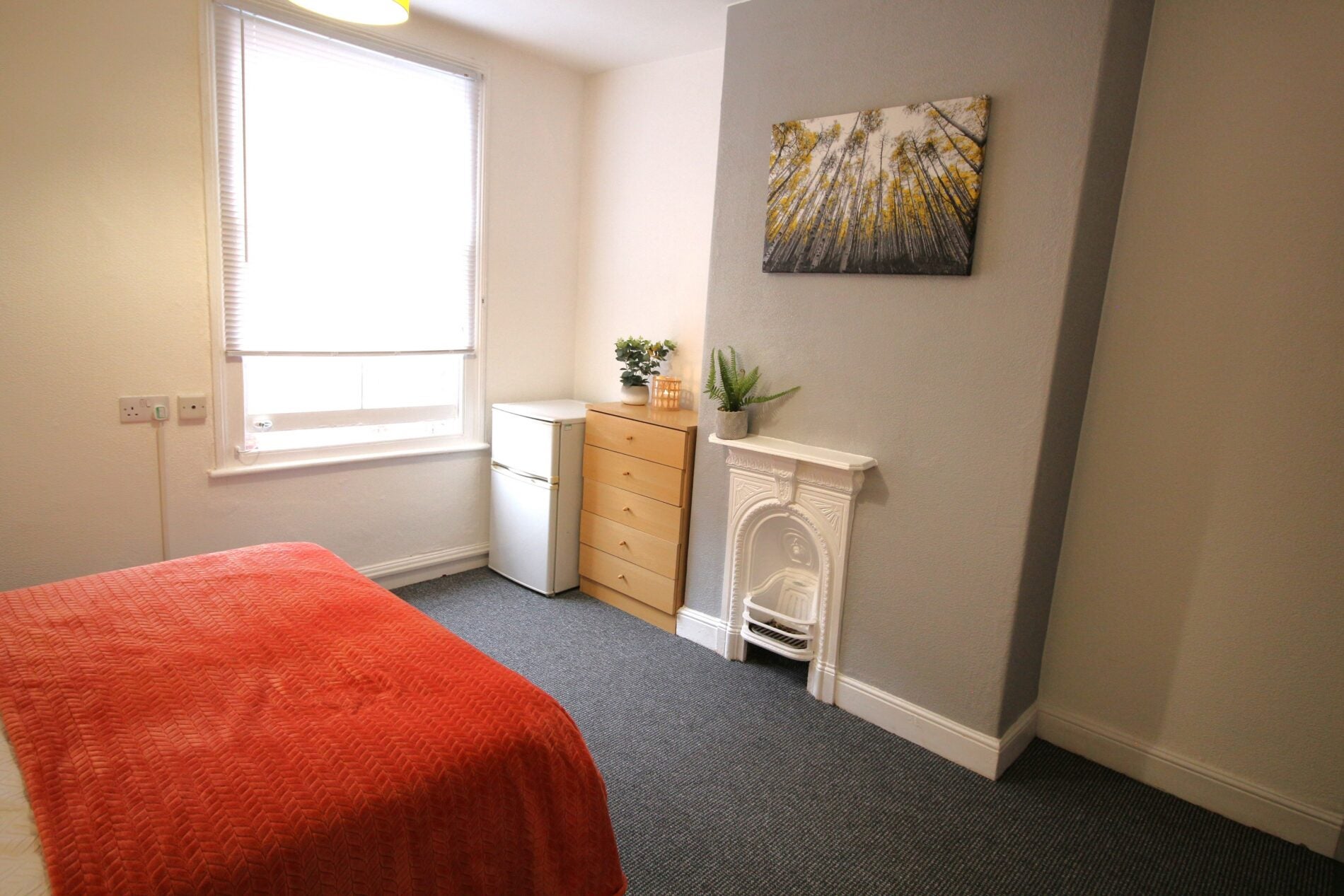 Room Cromwell Street in Lincoln