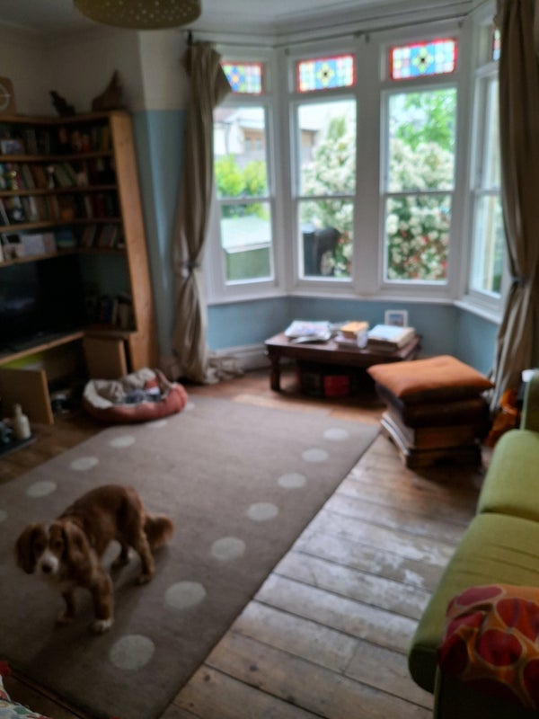 Room Upper Belmont Road in Bristol