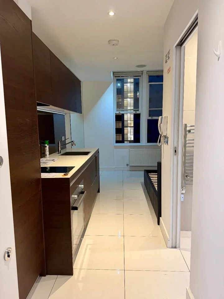 Flat Judd Street in Greater London