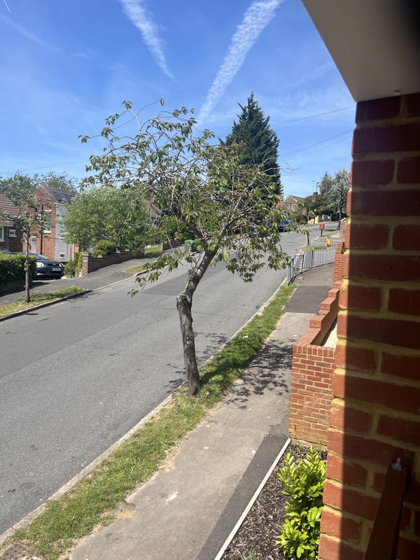 Room Copthorne Rise in Greater London