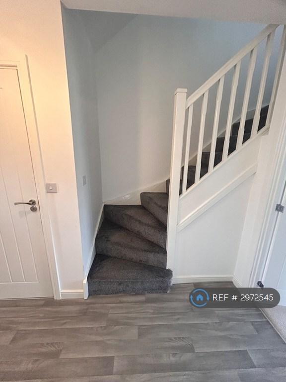 House Turnberry Avenue in Newsham