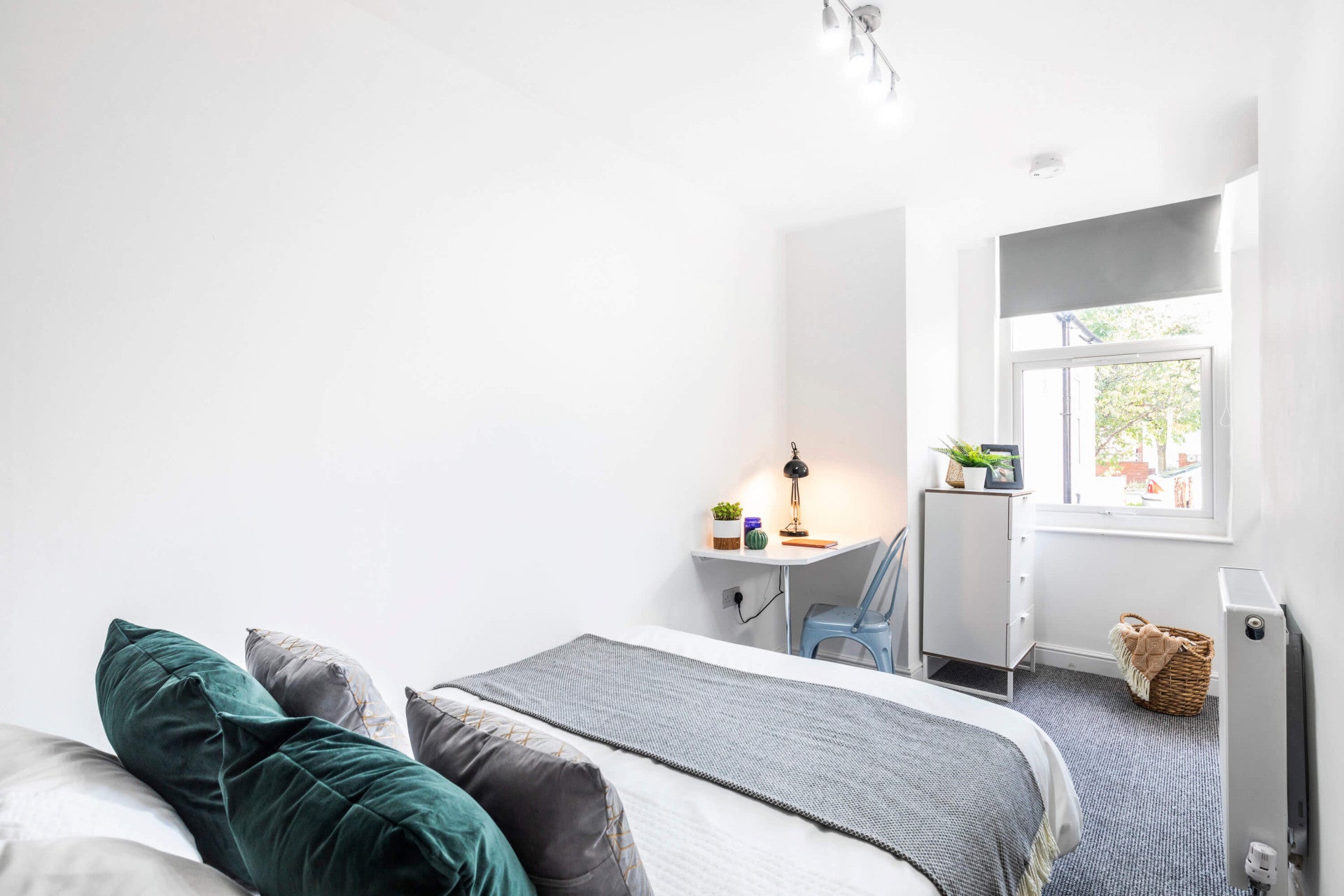 Room Grimthorpe Avenue in Leeds