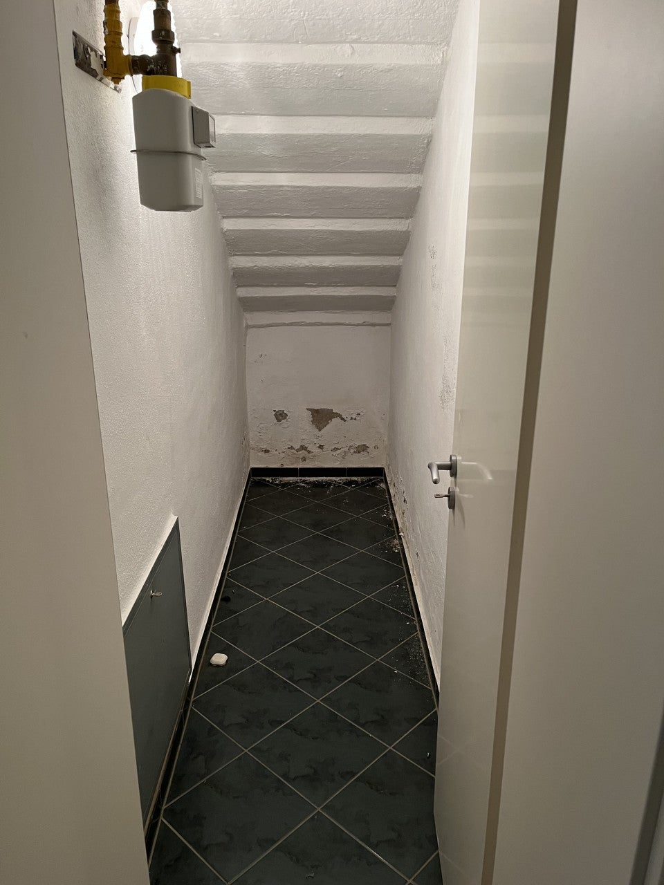 Wohnung Carl-von-Ossietzky-Straße in Halle (Saale)