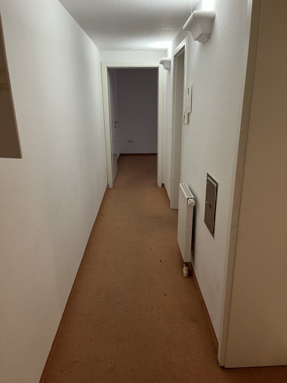 Wohnung Carl-von-Ossietzky-Straße in Halle (Saale)