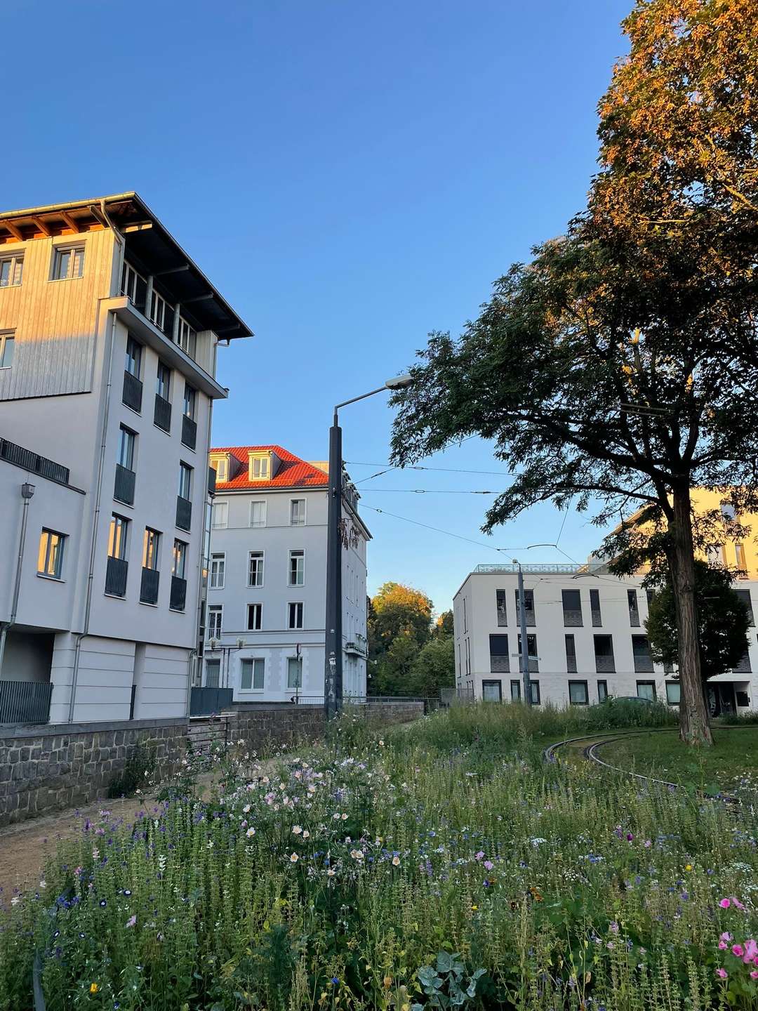 Wohnung Fischersand in Erfurt