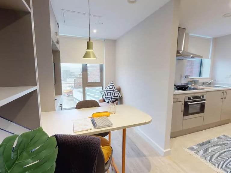 Flat Fitzwilliam Street in Sheffield