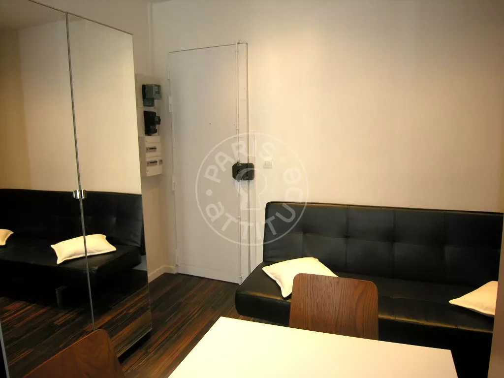Flat Rue Lacharrière in Paris