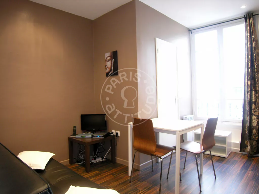 Flat Rue Lacharrière in Paris