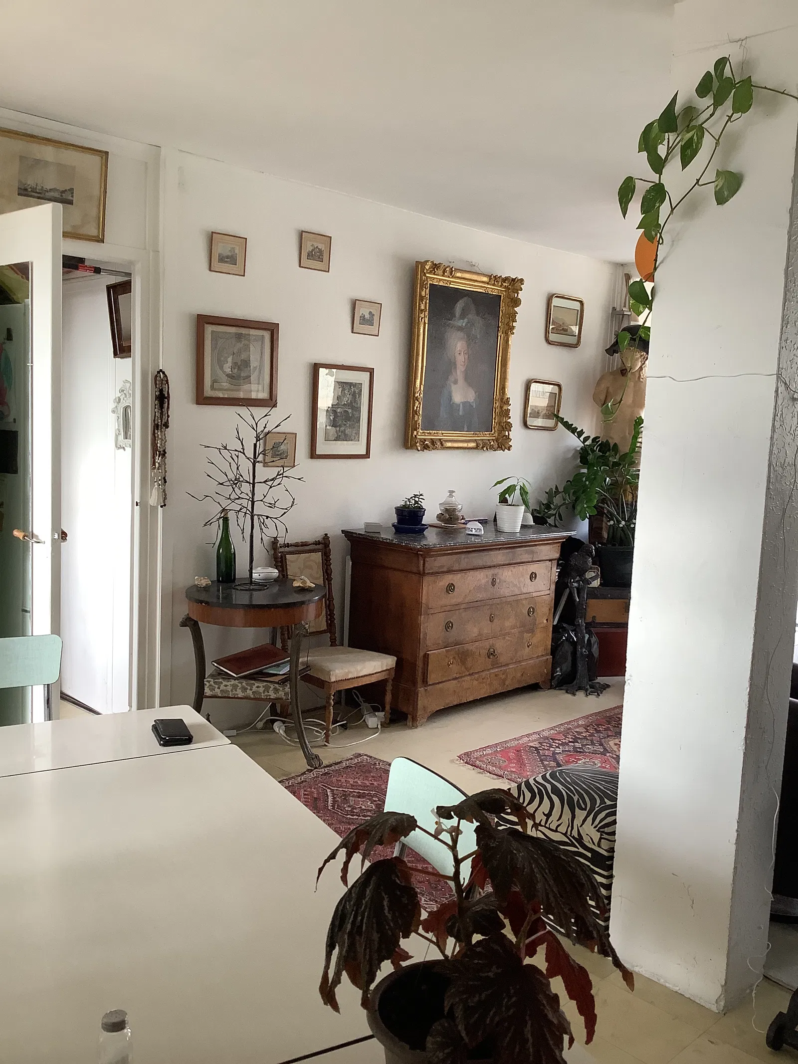 Chambre Rue Robert à Lyon