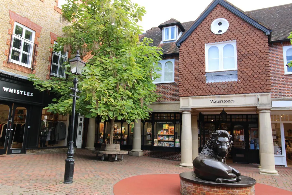 Flat Lion and Lamb Yard in Waverley