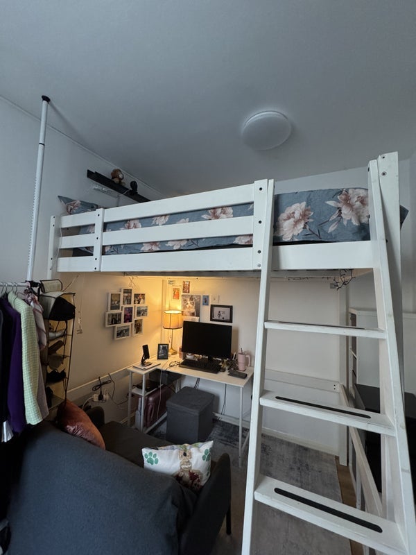 Room Hackney Road in Greater London