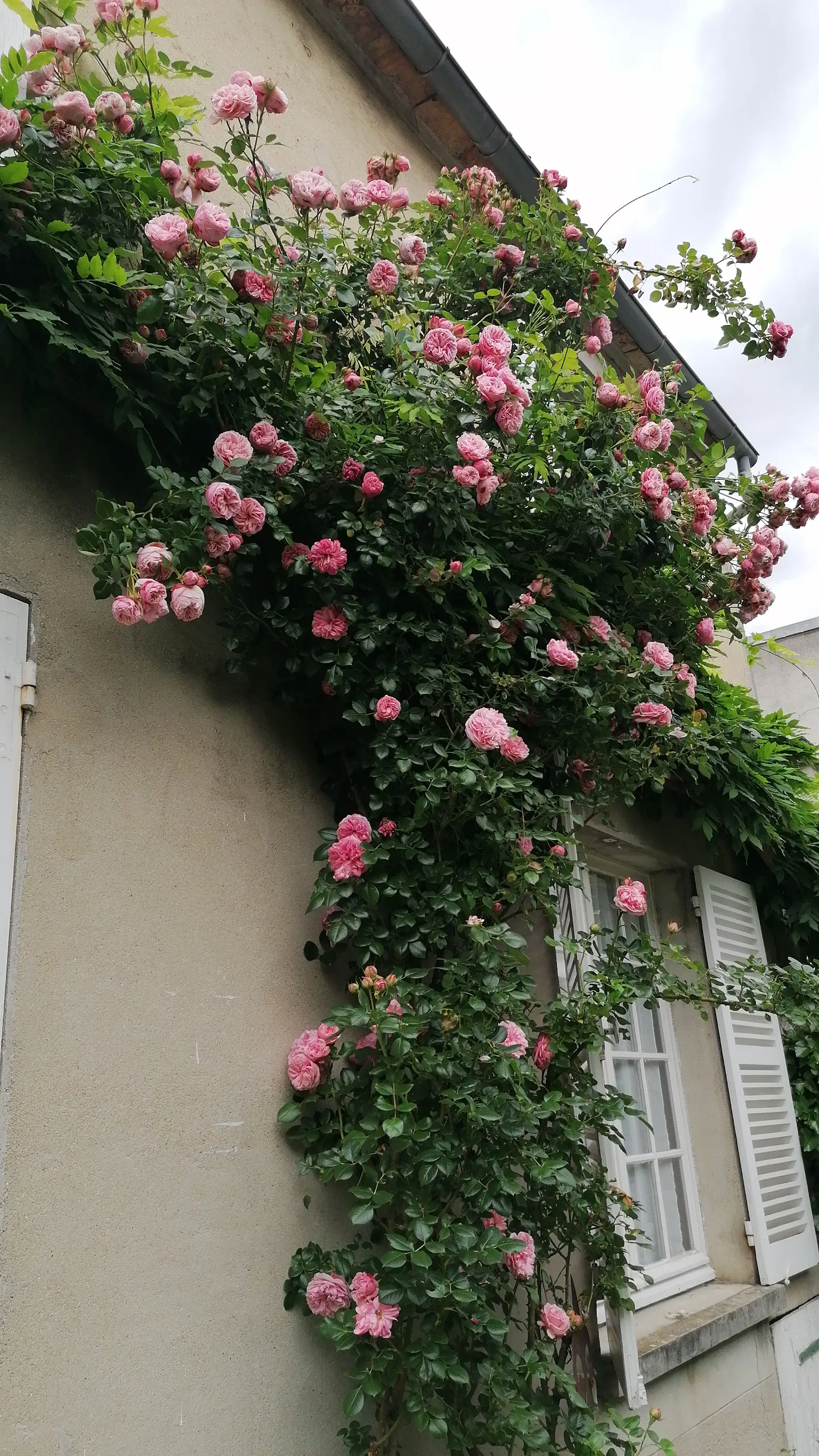 Room Rue du 4 Septembre in Thomery