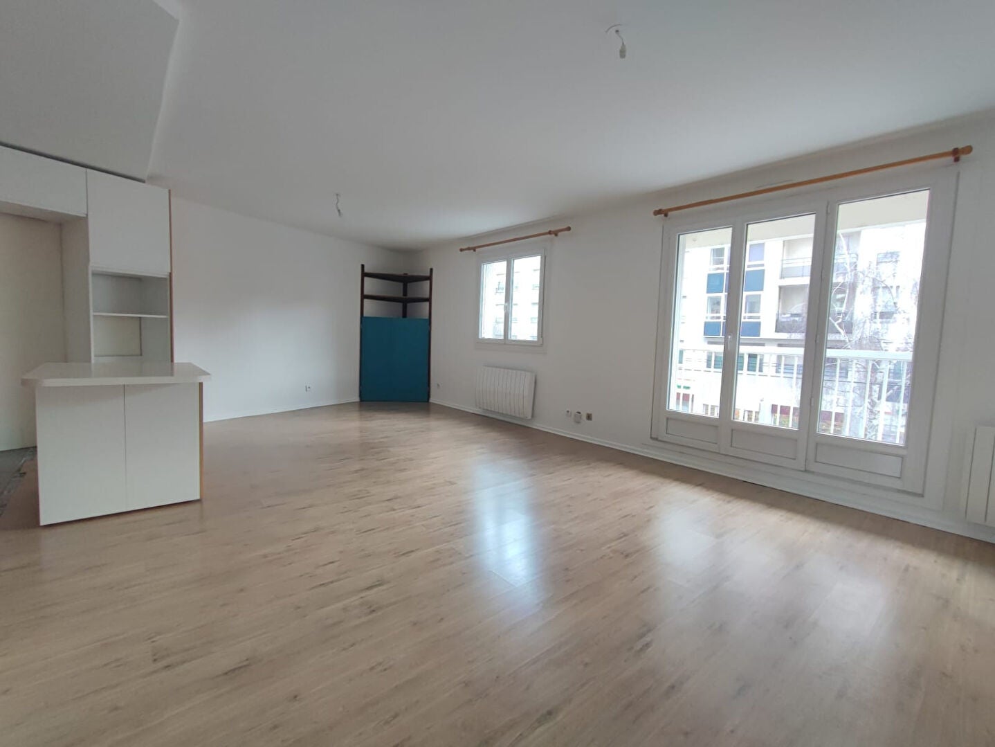 Flat Avenue Lacassagne in Lyon