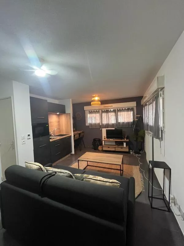 Appartement Rue du Lac à Irigny
