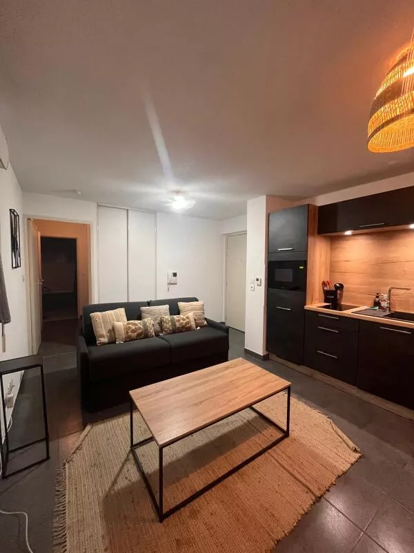 Flat Rue du Lac in Irigny
