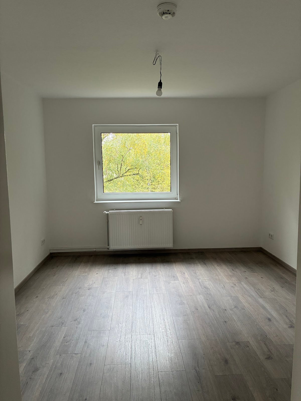 Wohnung Neuer Mühlenweg in Salzgitter