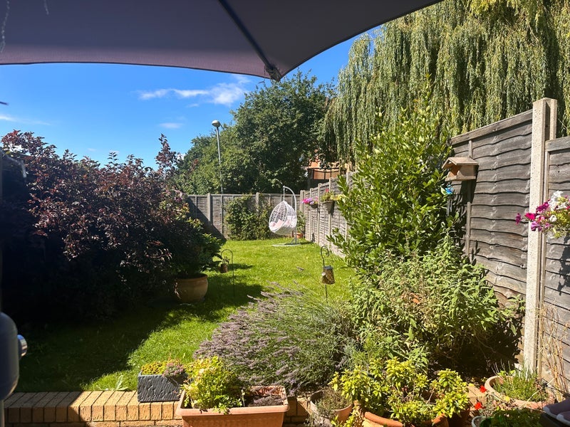 Room Millicent Grove in Greater London