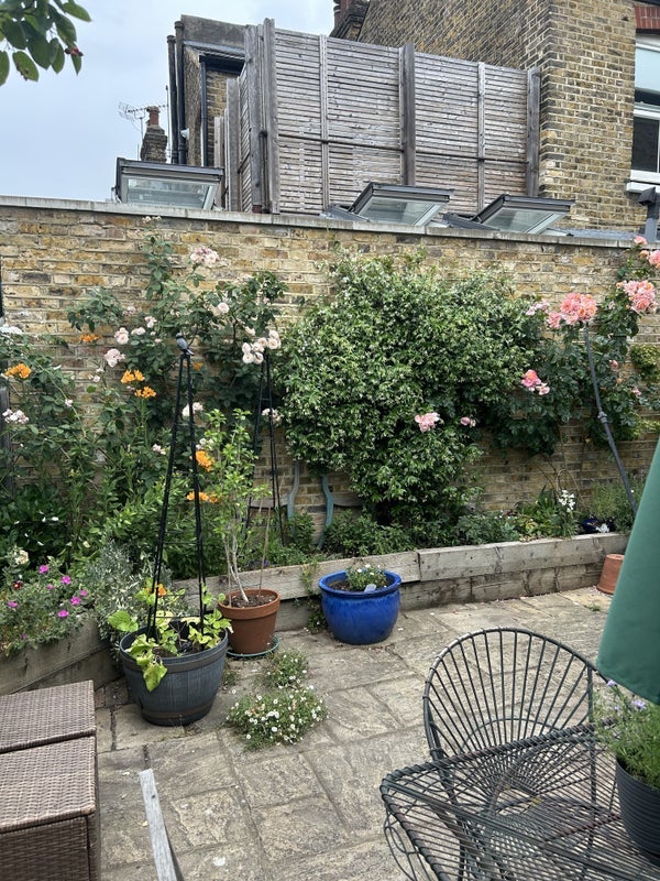 Room Clapham Common North Side in Greater London