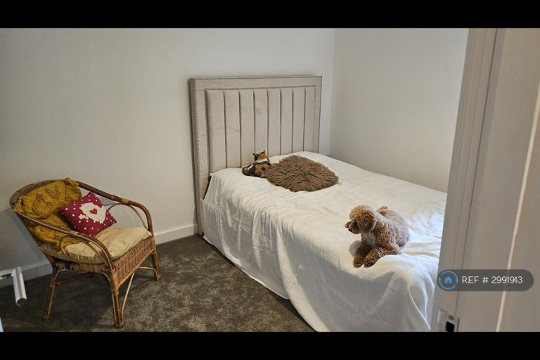 Room Coare Street in Macclesfield