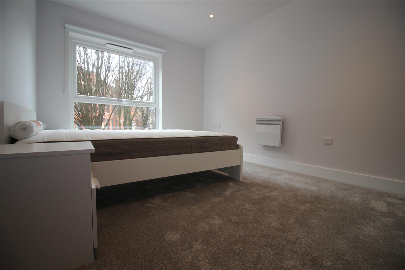 Flat Albion Street in Leicester