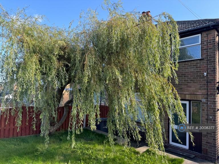 House Birch Lane in Bradford