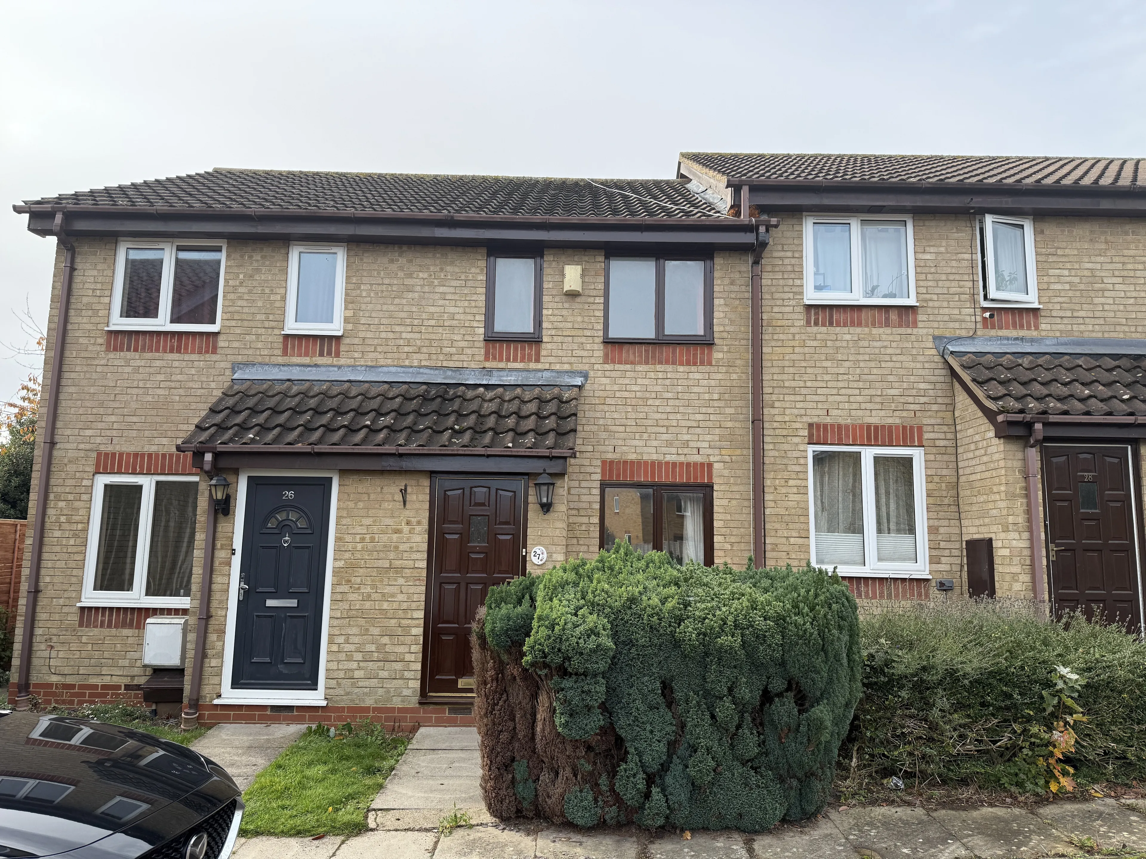 House Twinflower in Milton Keynes