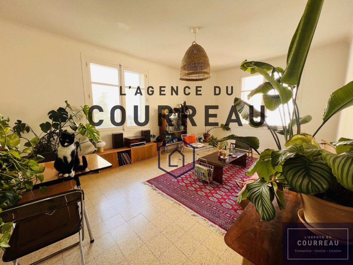Chambre Rue Bornier à Montpellier