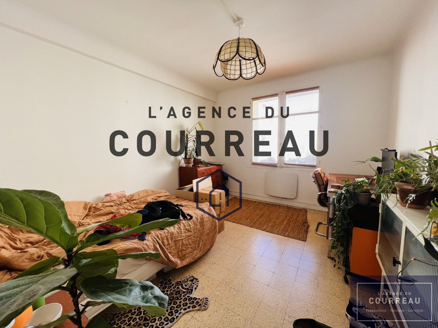 Chambre Rue Bornier à Montpellier