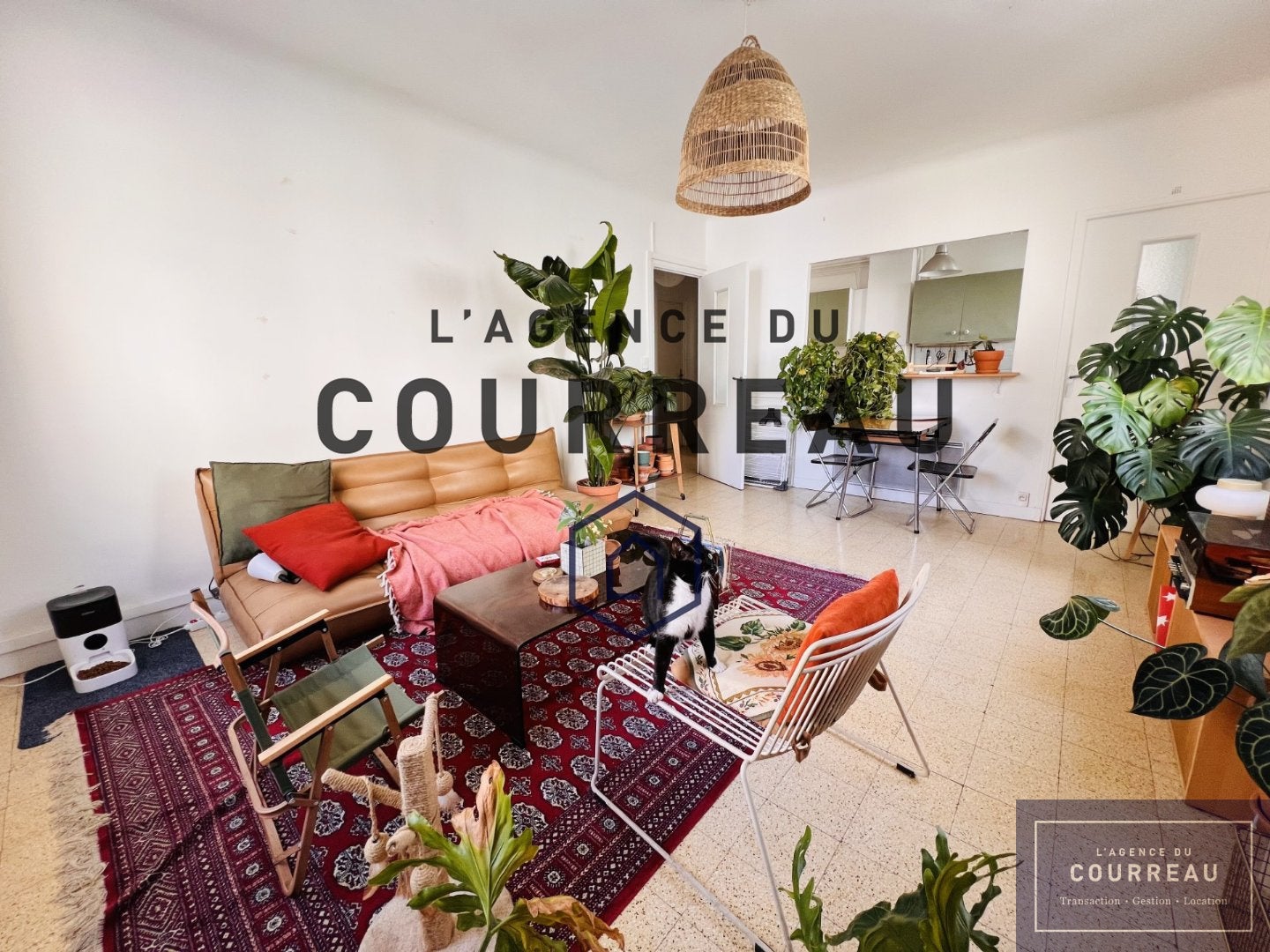 Chambre Rue Bornier à Montpellier