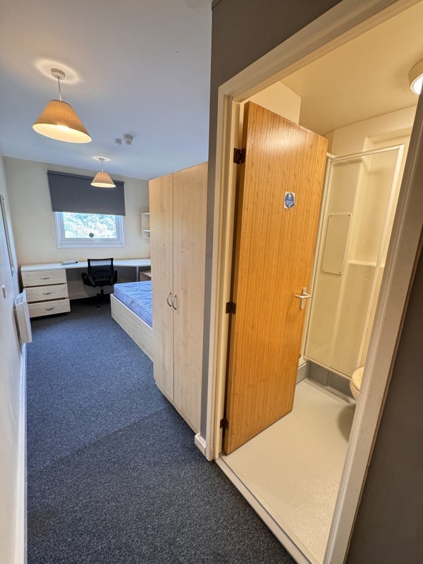 Room Alma Street in Sheffield