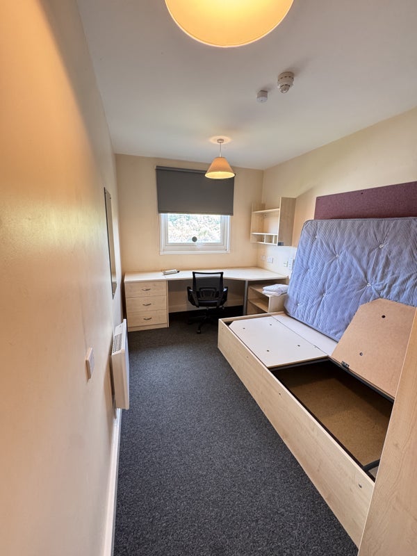 Room Alma Street in Sheffield