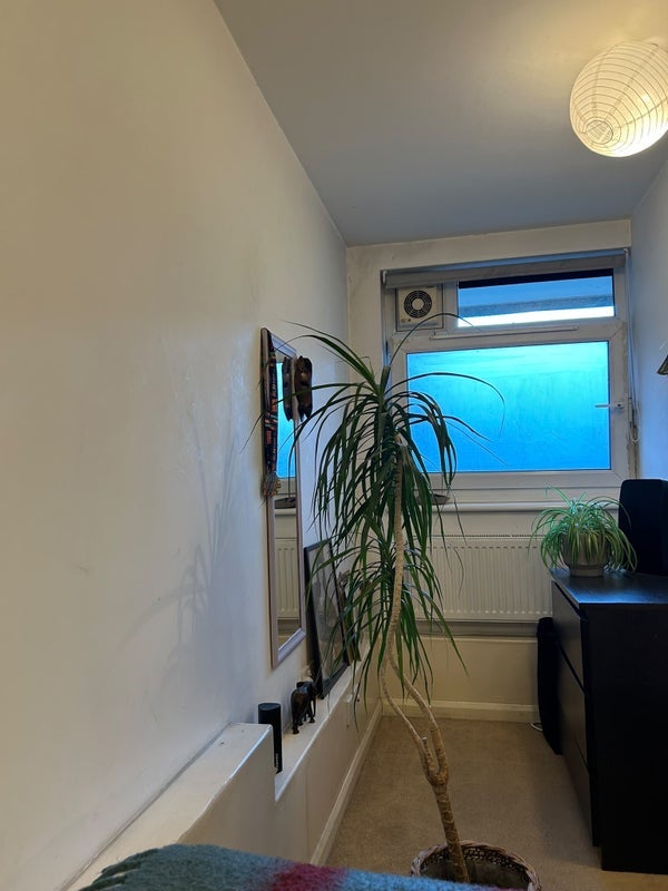Room Cottage Grove in Greater London