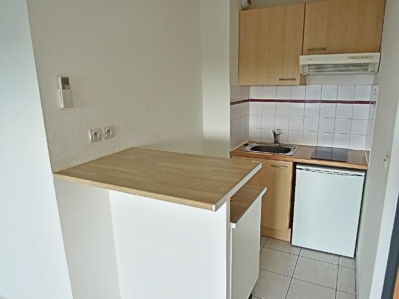 Flat Chemin de la Flambère in Toulouse