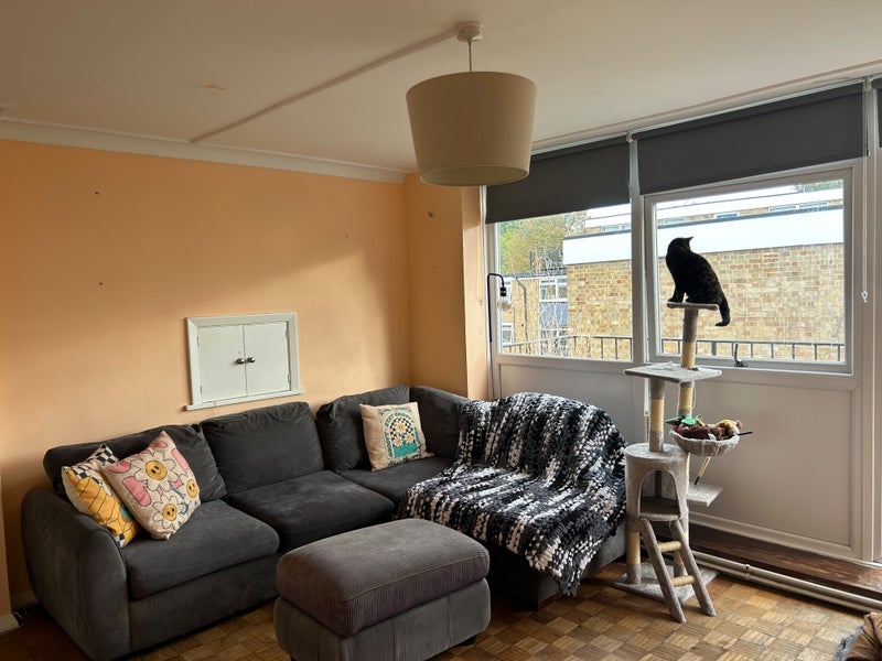 Room Crescent Lane in Greater London