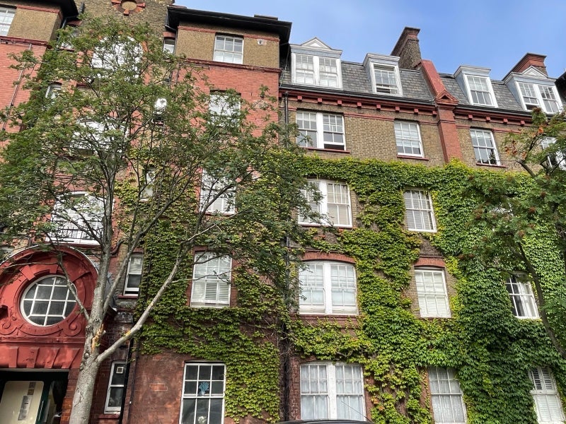 Room Beech Tree Close in Greater London