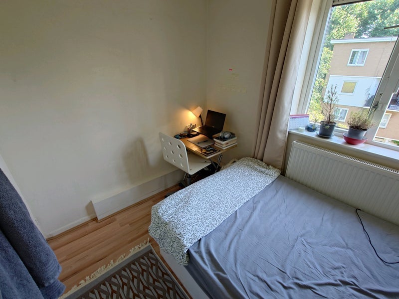 Room Windlesham Grove in Greater London