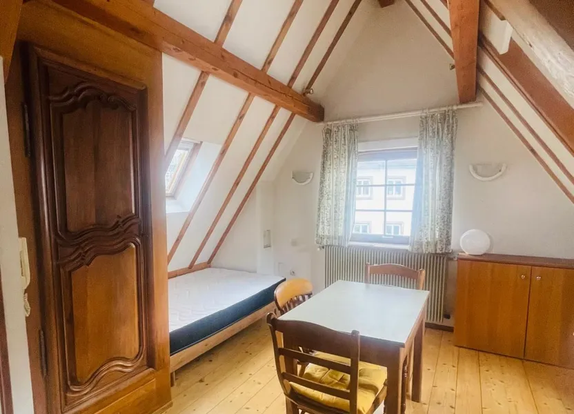 Flat Rue Adolphe Seyboth in Strasbourg