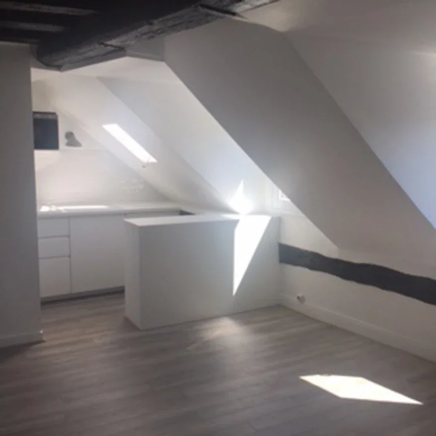 Flat Rue Paul Lelong in Paris