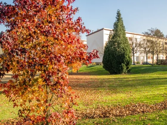 Flat Boulevard du Collège in Paray-le-Monial