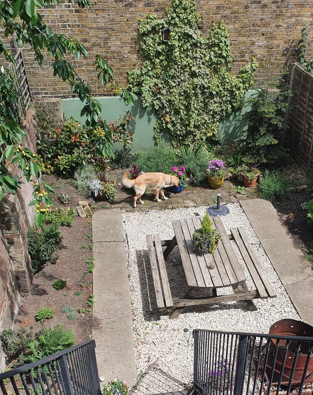 Flat Alconbury Road in Greater London
