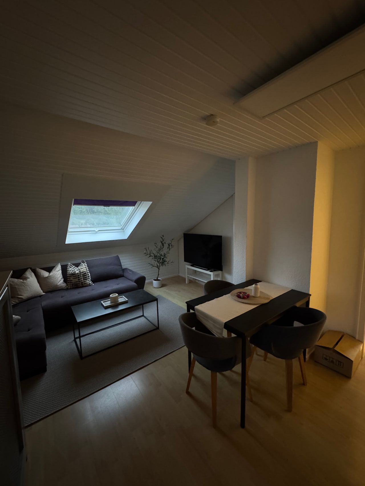 Wohnung Kantstraße in Sinsheim