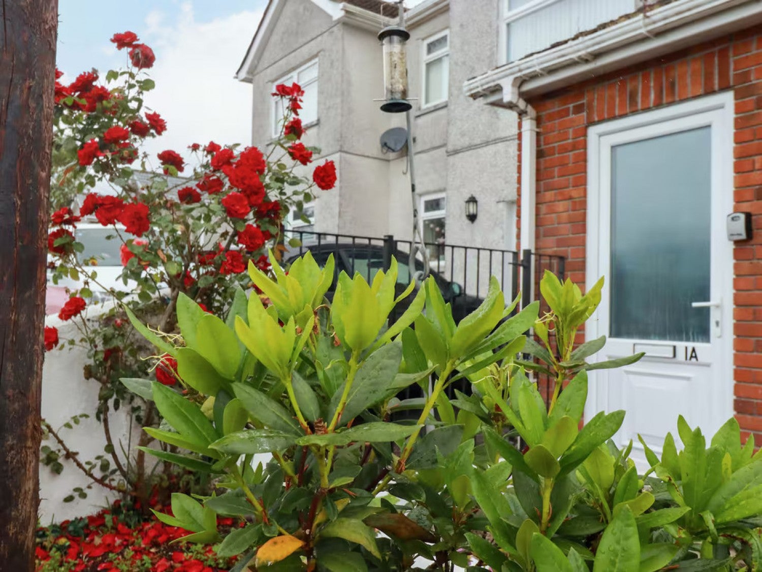 Flat Doubletrees in St Blazey
