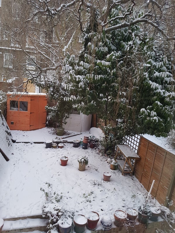 Room Tavistock Crescent in Greater London